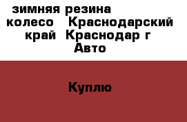 зимняя резина Evergreen 1 колесо - Краснодарский край, Краснодар г. Авто » Куплю   . Краснодарский край,Краснодар г.